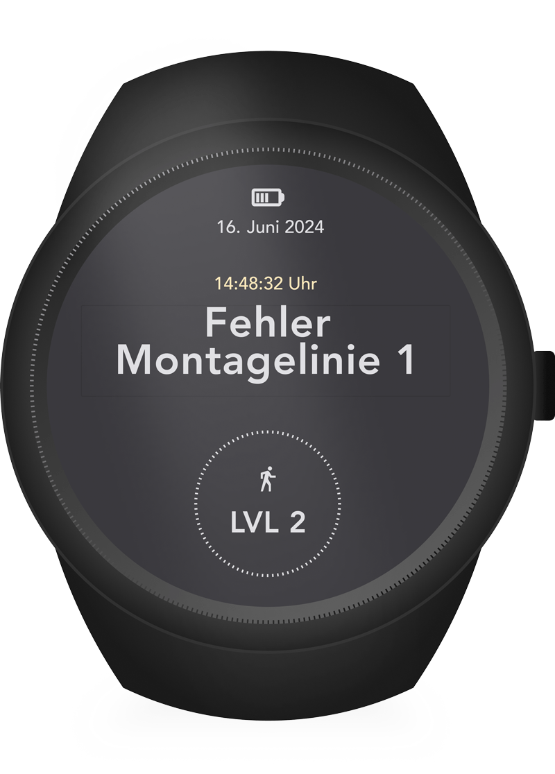 Smartwatch Error Reporting